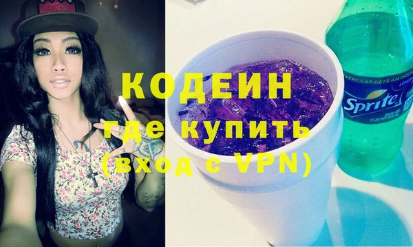 индика Верхний Тагил