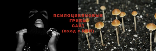 твердый Алексин