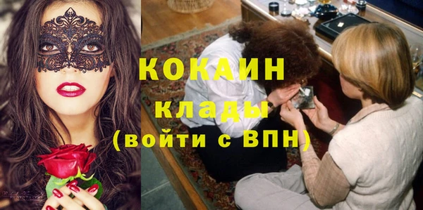 твердый Алексин
