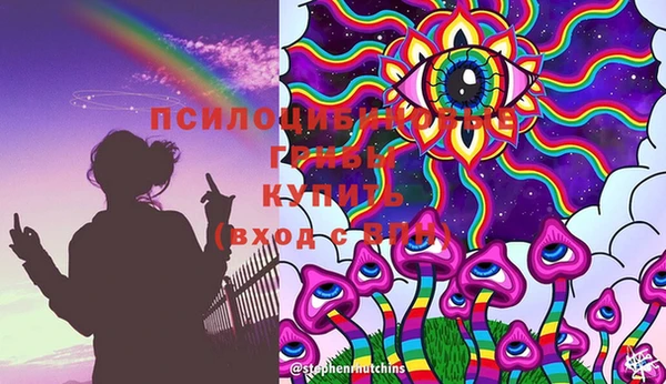 гидра Алзамай
