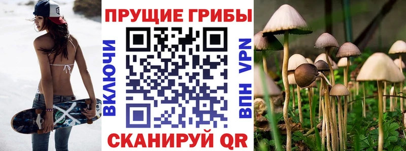 где можно купить наркотик  Тара  ссылка на мегу маркетплейс  Галлюциногенные грибы ЛСД 